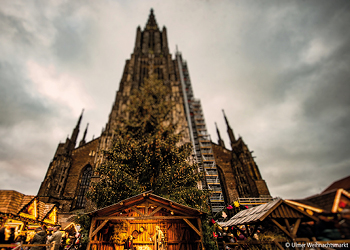 11_Reisehighlights_Ulm Home